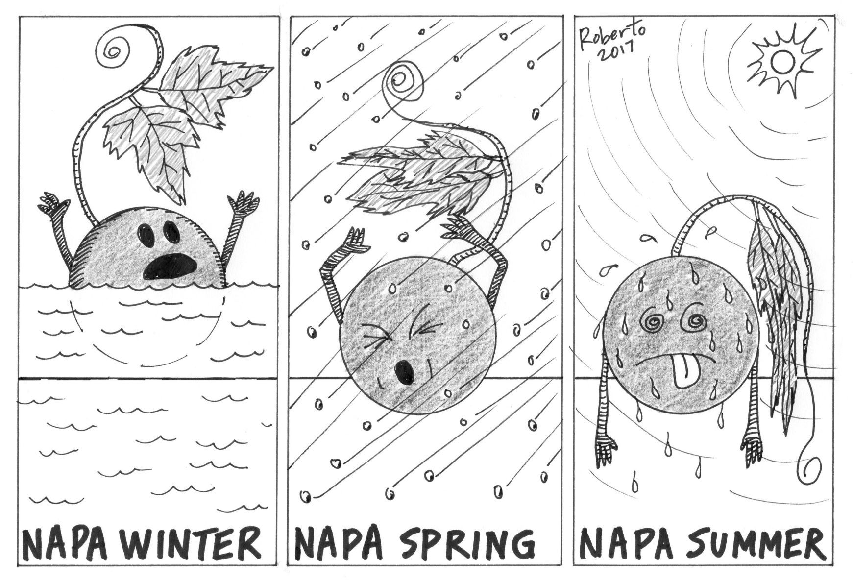 Roberto's Napa